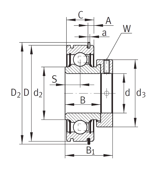 Закрепляемый подшипник RAE 25-XL-NPP-NR