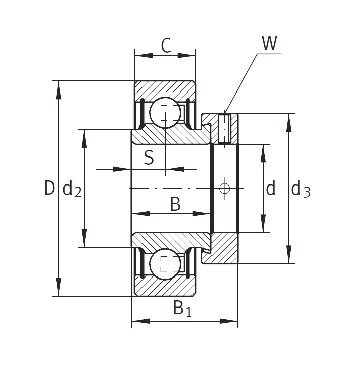 Закрепляемый подшипник RAE 30-XL-NPP-FA106