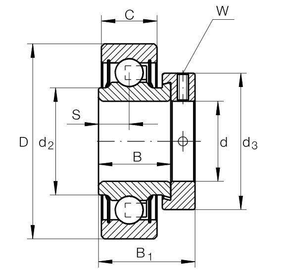Закрепляемый подшипник RAE 25-XL-NPP-B-FA106