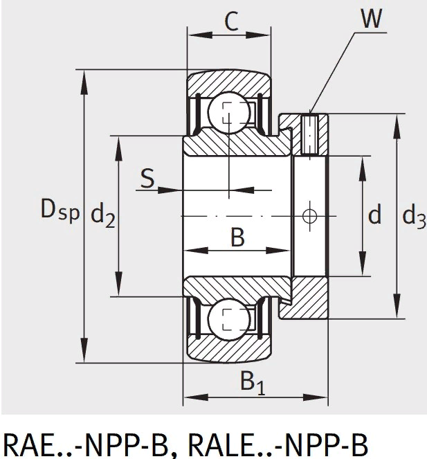 Закрепляемый подшипник RAE 30-XL-NPP-B-FA106