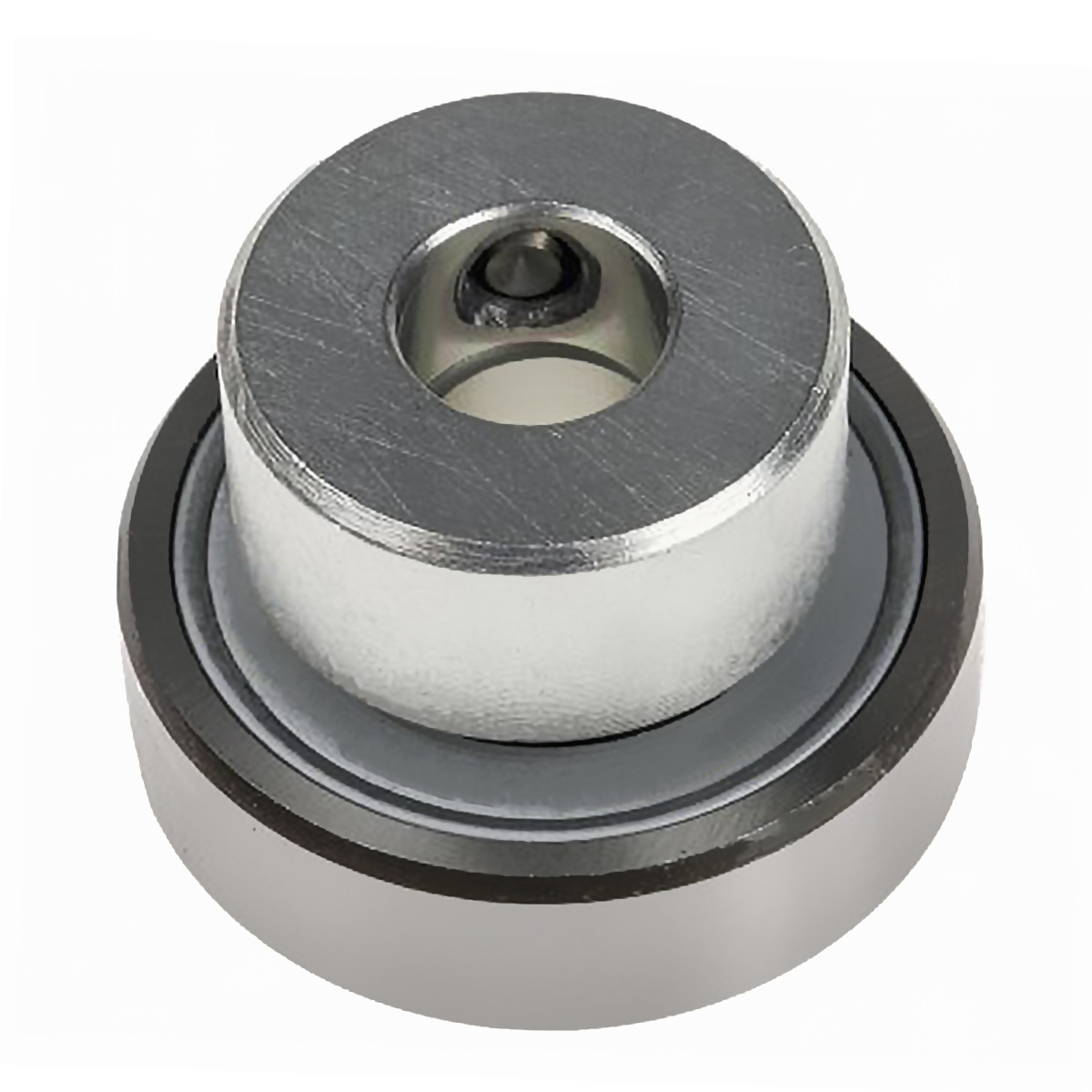 Закрепляемый подшипник RAE 25-XL-NPP-B-FA106