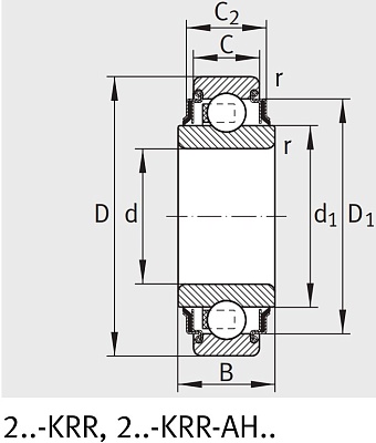 Закрепляемый подшипник 205 XL KRR