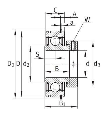 Закрепляемый подшипник RAE 50-XL-NPP-NR