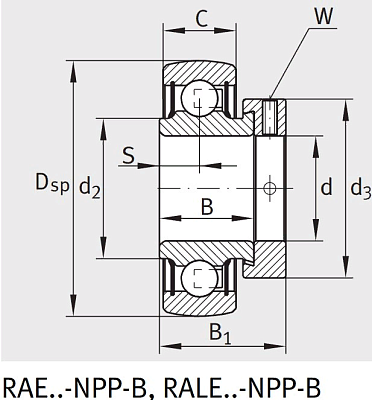 Закрепляемый подшипник RAE 35 XL NPP FA 106